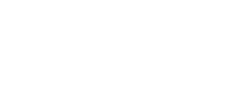 brand 20